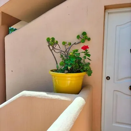 Apartment En Urbanizacion Al-andalus Cerca De La Playa De La Barrosa
