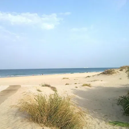 En Urbanizacion Al-andalus Cerca De La Playa De La Barrosa Apartment *